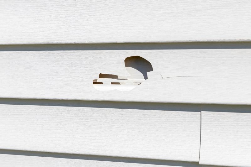 Vinyl Siding Repair - Image 4